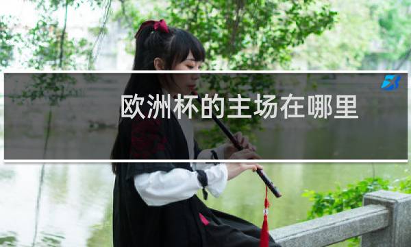 欧洲杯的主场在哪里图片