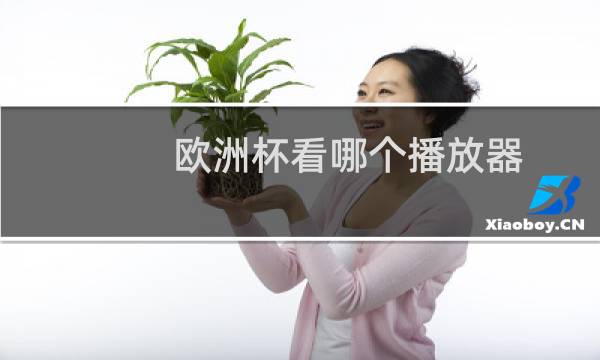 欧洲杯看哪个播放器图片