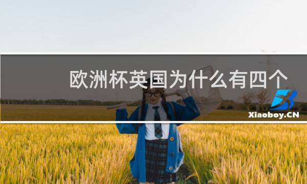 欧洲杯英国为什么有四个球队图片