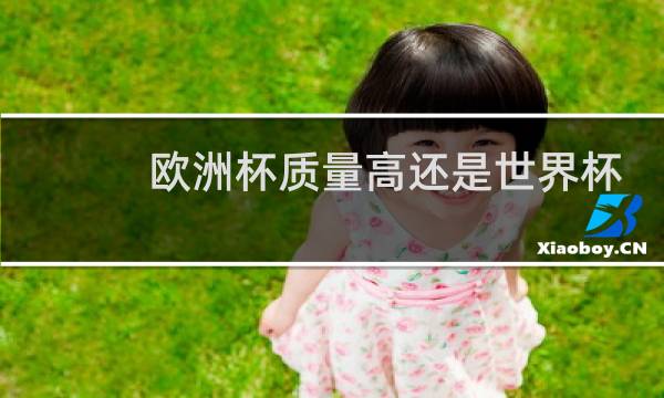 欧洲杯质量高还是世界杯图片