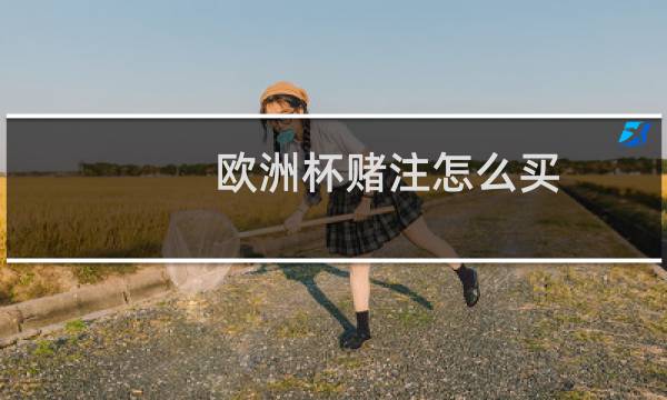 欧洲杯赌注怎么买图片