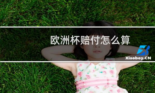 欧洲杯赔付怎么算图片