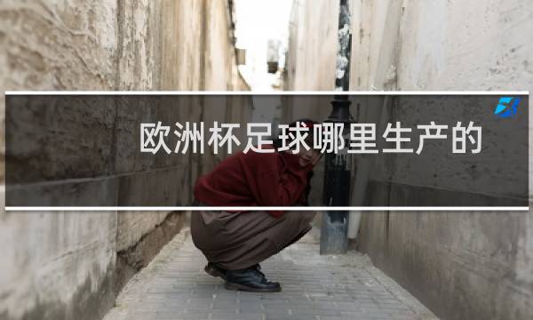 欧洲杯足球哪里生产的图片