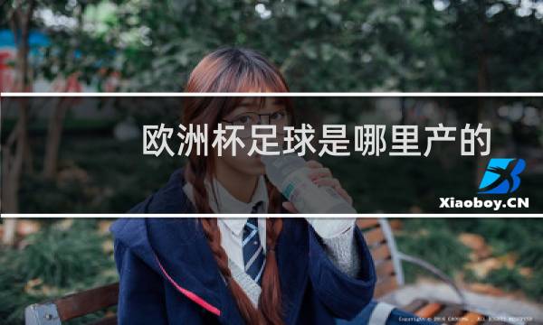 欧洲杯足球是哪里产的图片