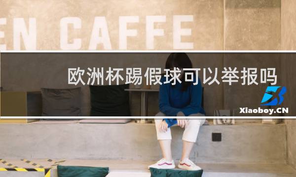 欧洲杯踢假球可以举报吗图片