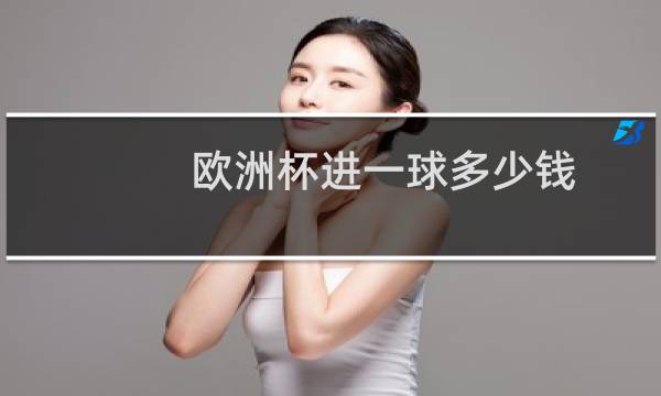 欧洲杯进一球多少钱图片