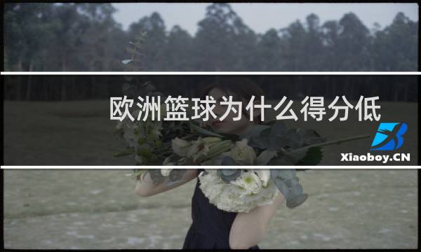 欧洲篮球为什么得分低图片