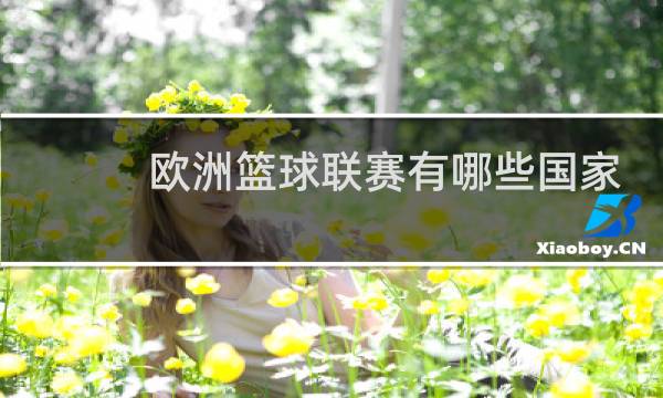 欧洲篮球联赛有哪些国家图片