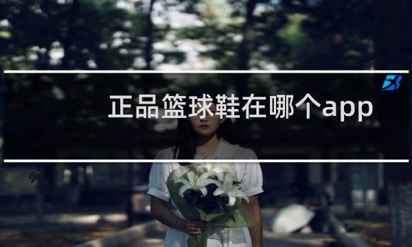 正品篮球鞋在哪个app买便宜图片