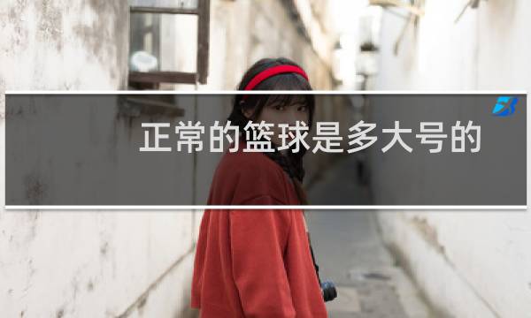 正常的篮球是多大号的图片