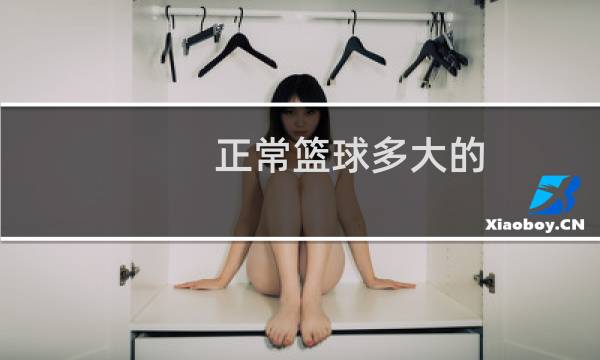 正常篮球多大的图片