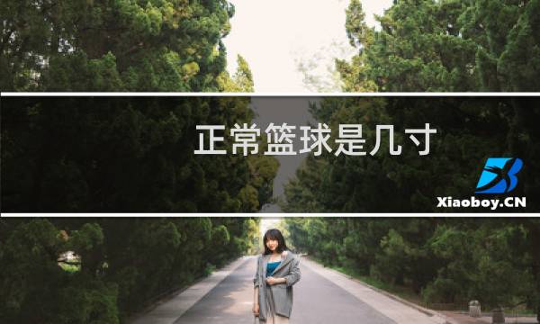 正常篮球是几寸图片