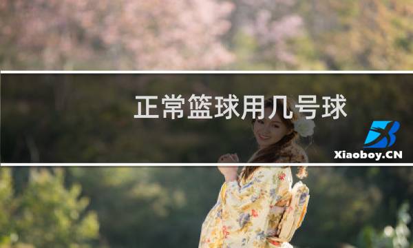 正常篮球用几号球图片