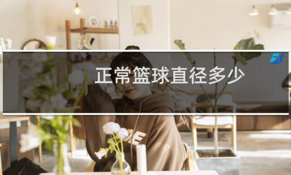 正常篮球直径多少图片