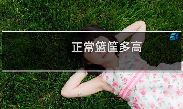 正常篮筐多高图片