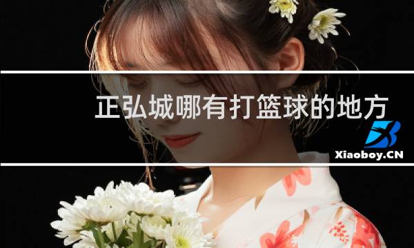正弘城哪有打篮球的地方
