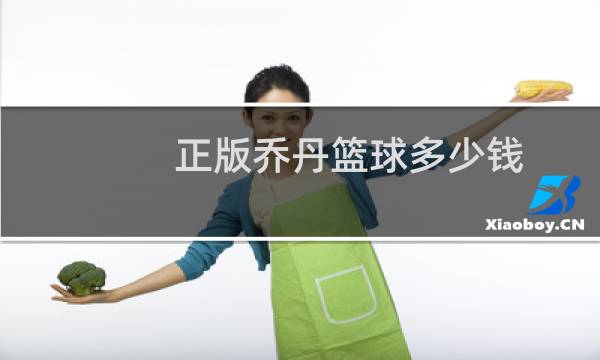 正版乔丹篮球多少钱图片