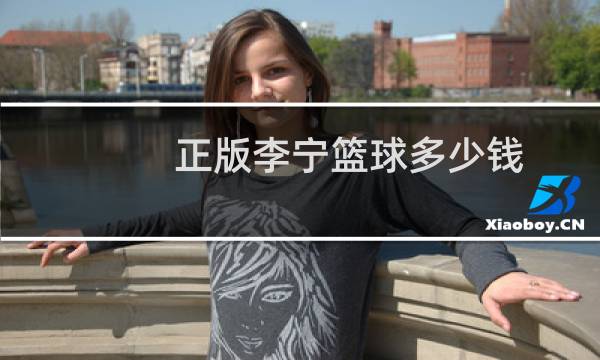 正版李宁篮球多少钱图片