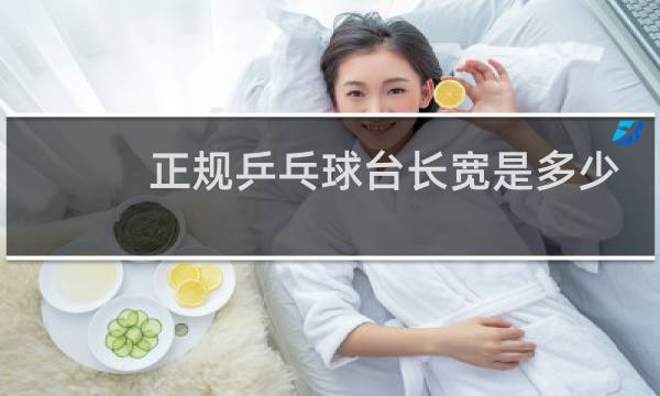 正规乒乓球台长宽是多少图片