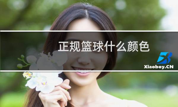 正规篮球什么颜色图片