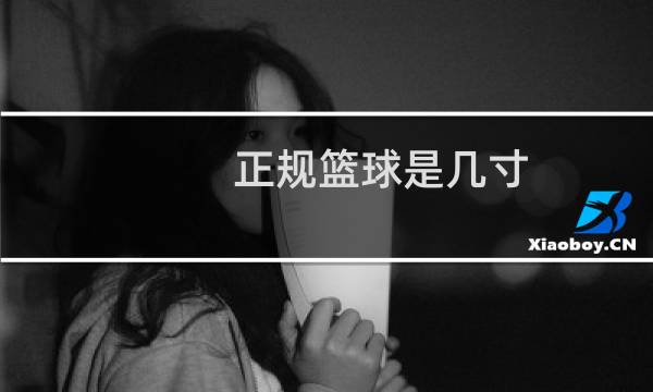 正规篮球是几寸图片