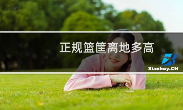 正规篮筐离地多高图片