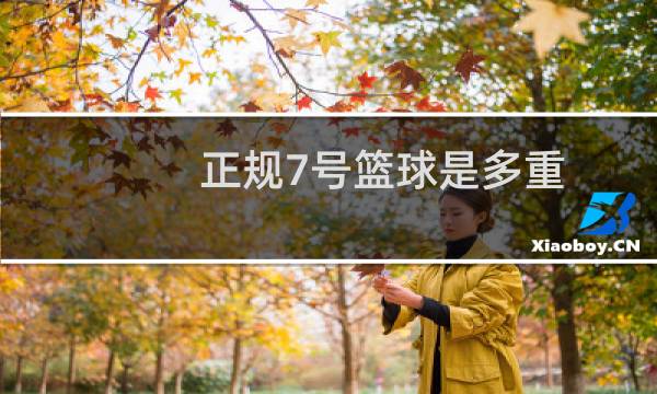 正规7号篮球是多重图片