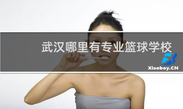 武汉哪里有专业篮球学校图片