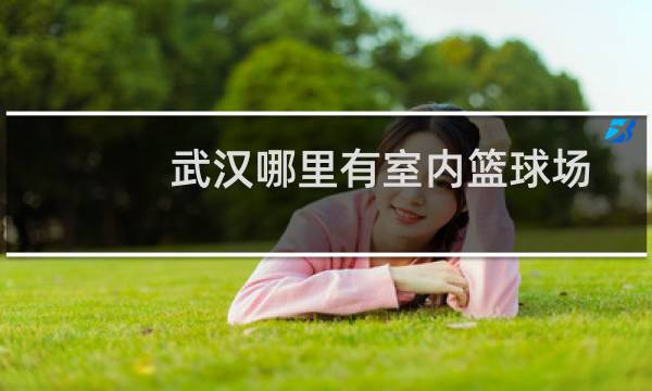 武汉哪里有室内篮球场图片