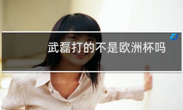 武磊打的不是欧洲杯吗图片