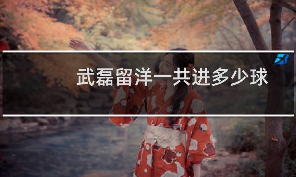 武磊留洋一共进多少球图片
