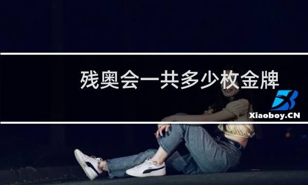残奥会一共多少枚金牌图片