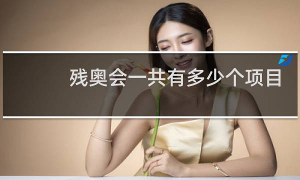 残奥会一共有多少个项目图片