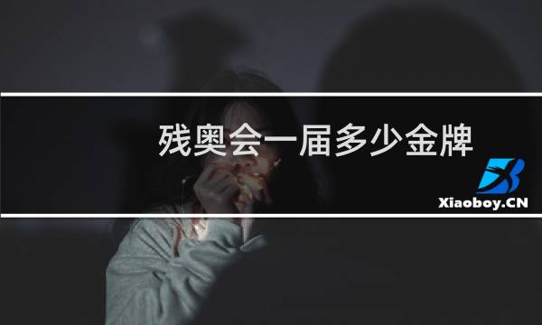 残奥会一届多少金牌图片