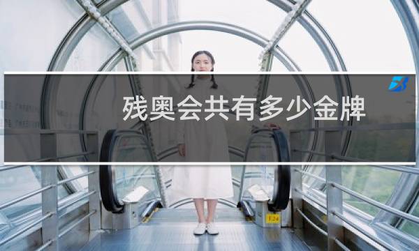 残奥会共有多少金牌图片