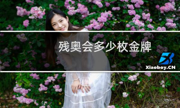 残奥会多少枚金牌图片