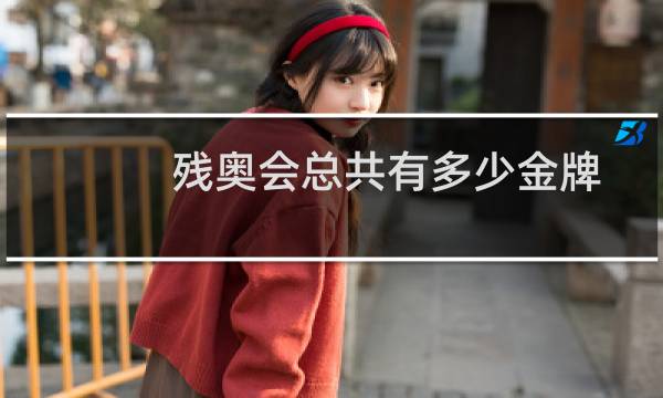 残奥会总共有多少金牌图片
