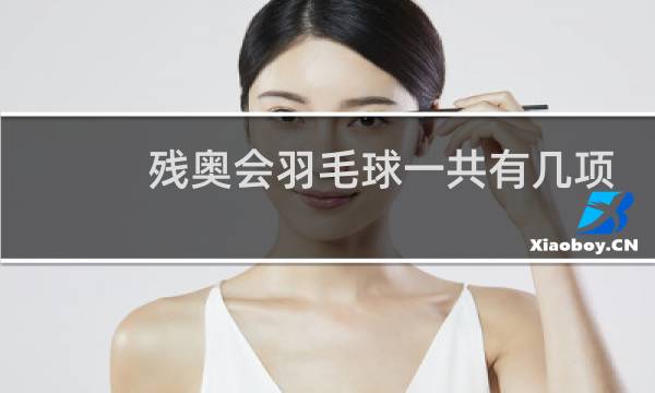 残奥会羽毛球一共有几项图片