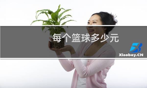 每个篮球多少元图片