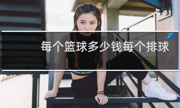 每个篮球多少钱每个排球多少钱图片