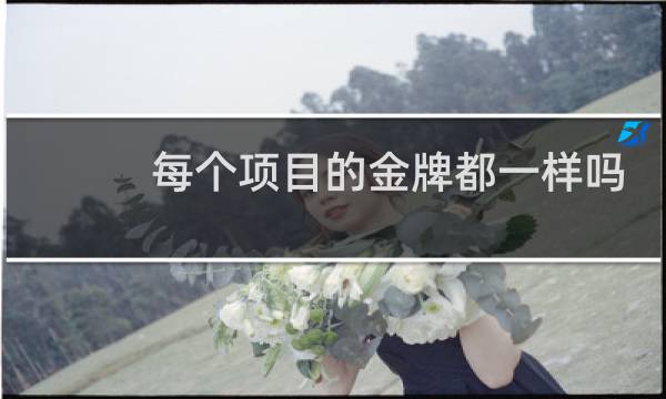 每个项目的金牌都一样吗图片