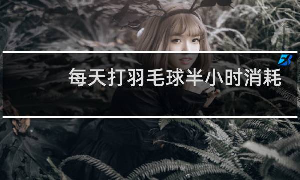 每天打羽毛球半小时消耗多少卡路里图片
