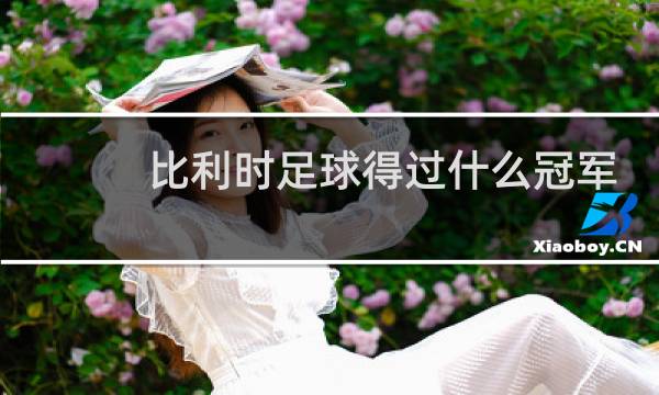 比利时足球得过什么冠军图片