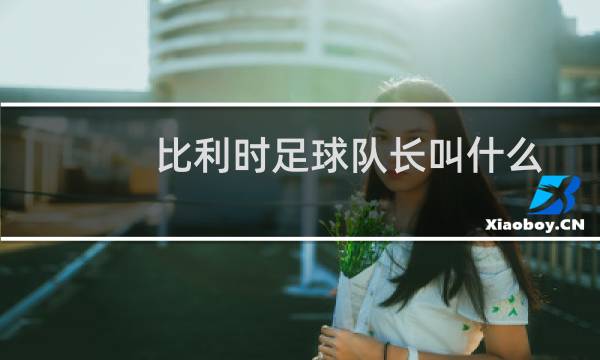 比利时足球队长叫什么图片