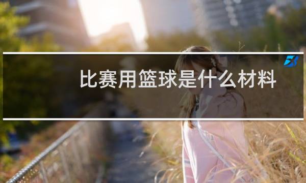 比赛用篮球是什么材料图片