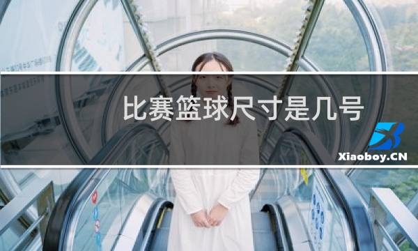 比赛篮球尺寸是几号图片
