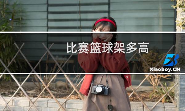 比赛篮球架多高图片