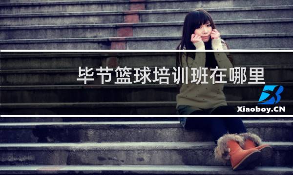 毕节篮球培训班在哪里图片
