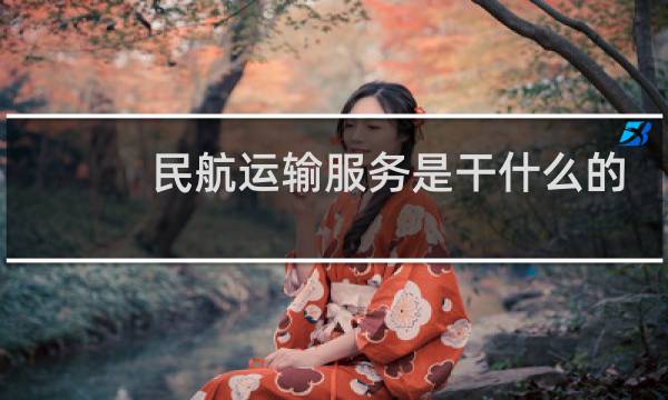 民航运输服务是干什么的图片