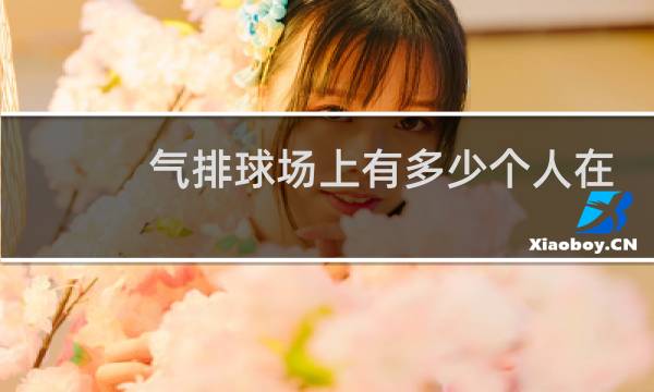 气排球场上有多少个人在打图片